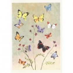 Two Bad Mice Greeting Cards Butterflies - Kort